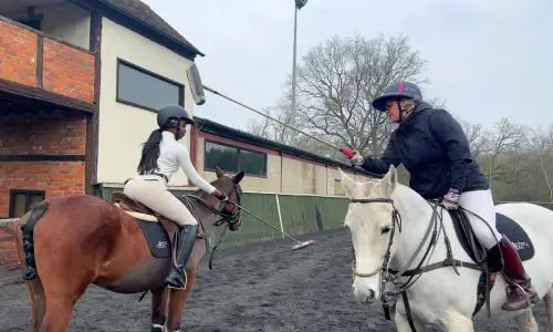 polo lesson in surrey